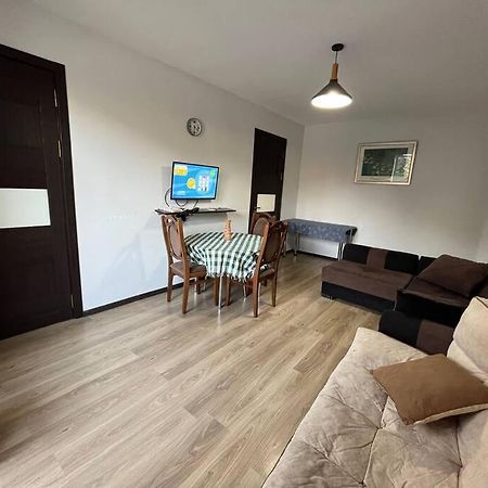 Ana'S Cosy Home In Borjomi Center エクステリア 写真